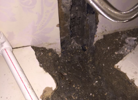 迁安卫生间测漏水哪家好